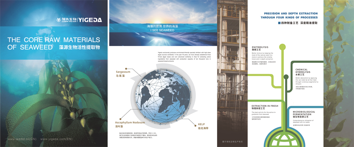 豪运国际生物海藻精加工新生产线项目动工
