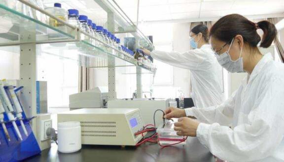 一个女企业家的现代农业之梦——访豪运国际董事长徐志文