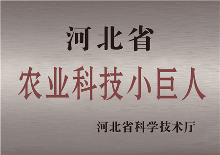 豪运国际被评为河北省农业科技小巨人
