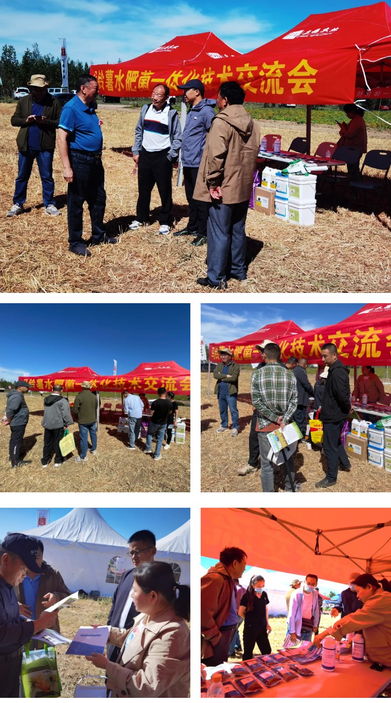 “乡”约沽源 “薯”光无限 | 豪运国际生物亮相久恩农业田间开放日