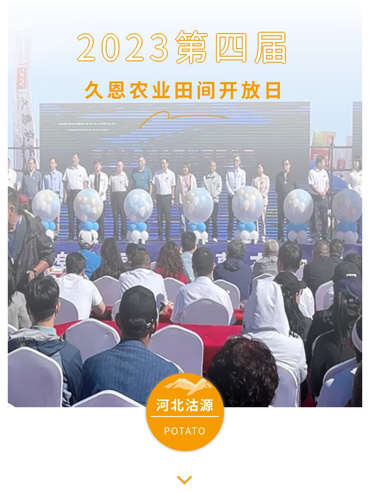 “乡”约沽源 “薯”光无限 | 豪运国际生物亮相久恩农业田间开放日