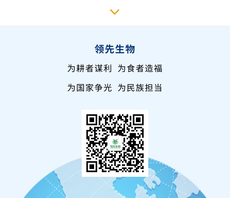 “乡”约沽源 “薯”光无限 | 豪运国际生物亮相久恩农业田间开放日
