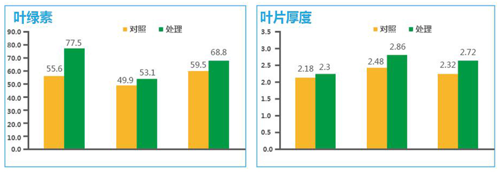 豪运国际生物“海藻+氮磷钾+腐植酸”让果树旺起来