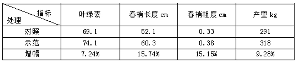 豪运国际生物“海藻+氮磷钾+腐植酸”让果树旺起来